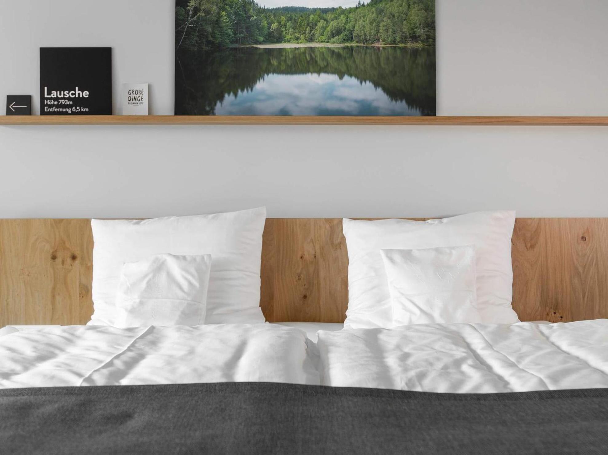 Trixi Zittauer Gebirge Vakantiepark 5*